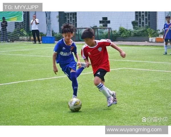 在绿茵场上追梦的少年扮演足球明星的精彩小说推荐